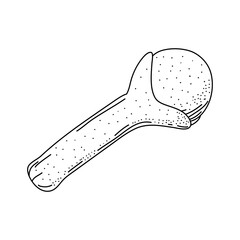 Clove doodle icon, vector illustration isolated on white background