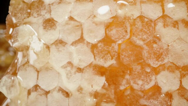The camera moves along beeswax combs filled with honey and shifts its focus to the background, where honey is dripping from the combs.