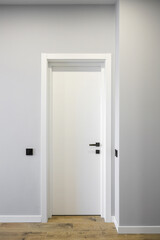 White interior door in the room