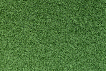 Green grass background. Grass ground texture