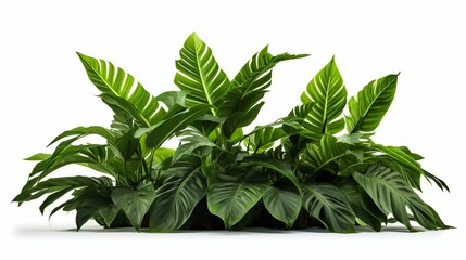 Tropical Forest Leaves Isolated on White. Generative ai