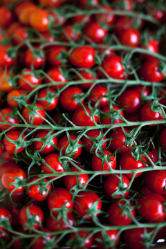 Fresh cocktail tomatoes