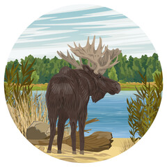 Round composition. An elk with big horns stands on the river bank. Realistic vector landscape