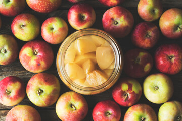Homemade apple cider vinegar in glass jar with apples on counter