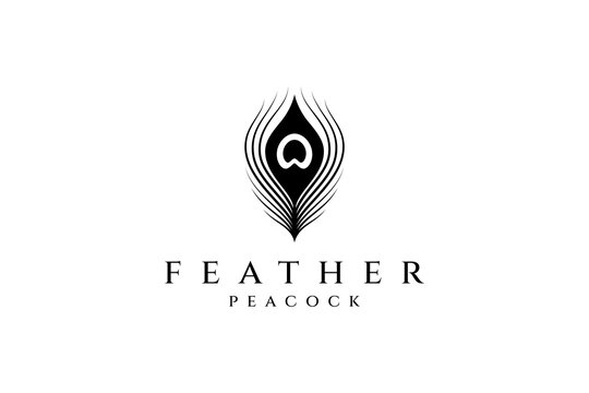 Fototapeta Peacock feather flat logo design