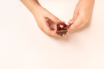 Chestnuts on a light background, chestnuts in hands
