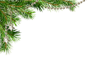 Christmas corner arrangement with green pine twigs and silver garland isolated on white or transparent background