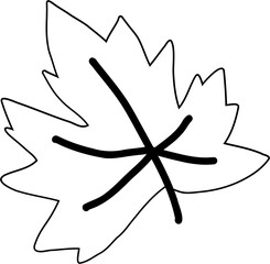 doodle freehand sketch drawing of maple leaf.	