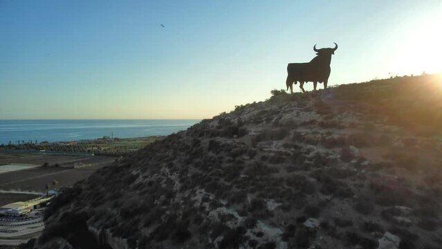 Bull on hill and coastline at sunset. Costa del Sol, Andalucia, Spain.