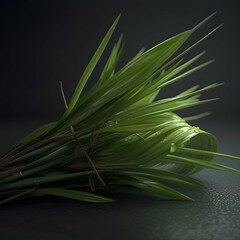 Obraz premium Bunch of green grass on a dark background. Studio shot.
