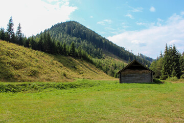 Fototapeta na wymiar An old abandoned farm in the Carpathians 