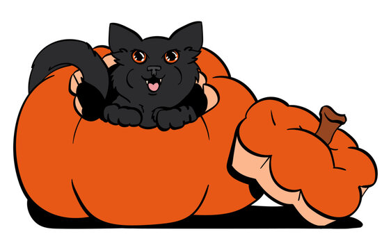 Cartoon Black Cat sitting in a Pumpkin