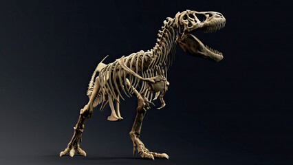 Trannosaurus Rex Sue Skeleton render of background. 3d rendering