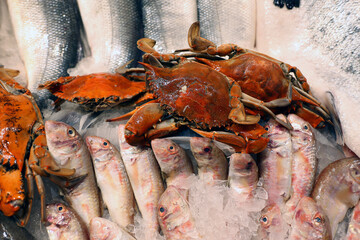 Freshly caught seafood, fish and red crabs displayed in the supermarket, grocery store