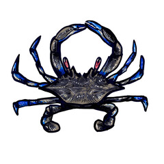 blue crab isolated on white