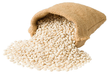 Raw highland barley in the sack, isolated on white background. - 650262327