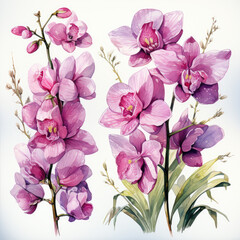 watercolor Orchid clipart, Generative Ai