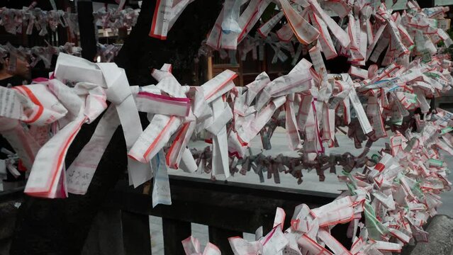 Omikuji Japanese fortune paper wrapped at Kushida-jinja shrine, Fukuoka, Japan