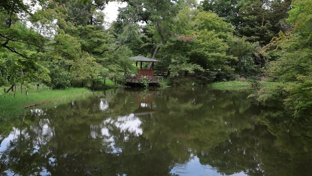 Water pond in Kyoto botanical garden, Kansai region, Kyoto, Japan