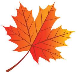 MAPLE LEAF - Vector + transparent png background
