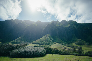 KUALOA クアロア