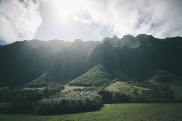 KUALOA クアロア