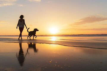 A senior african american female is walking next to the waterline seen from the front with a dog running happily around on a calm and tranquil beach during sunset - relaxing activity dog and human wal