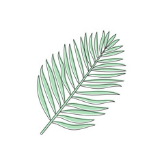 Palm leaf outline hand drawn illustration
