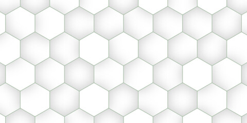 Fototapeta premium white hexagon pattern background