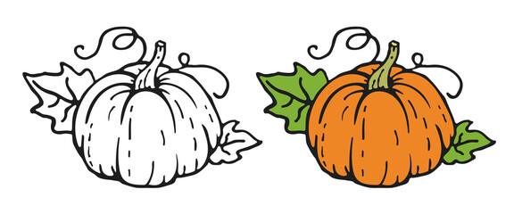 Pumpkin icon in doodle style. Vector clipart isolated on white background.