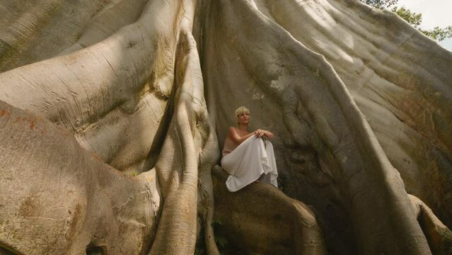 Attractive girl is located near trunk of giant fig tree. Parallax.