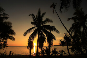 Tropical Island Sunset on the Beach