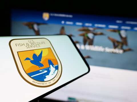 Stuttgart, Germany - 09-17-2023: Cellphone with seal of United States Fish and Wildlife Service (FWS) on screen in front of website. Focus on left of phone display.