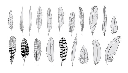 Feathers silhouettes set. Black and white realistic vector illustration - 650284548