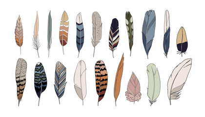 Realistic colored feathers set. Vector illustration