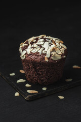 Chocolate muffin on dark background