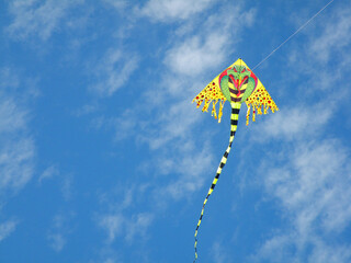 Colorful kite in clear sky