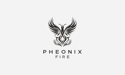 Phoenix Eagle bird vector illustration design