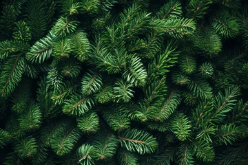 Fotobehang Green fir branches as decoration © eyetronic