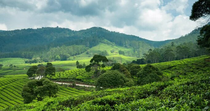 Timelapse of clouds rolling over the tea plantation