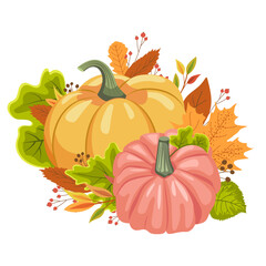Two ripe pumpkins with autumn leaves for the harvest festival. Design for invitations and cards.  Vector illustration.