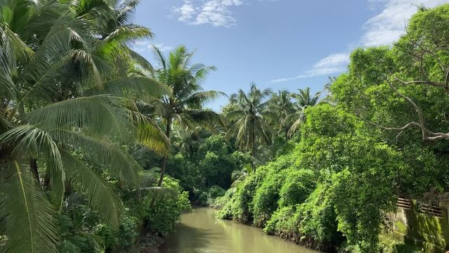 river in the tropical jungle