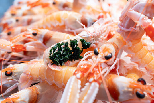 Fresh, succulent langoustines showcased at a vibrant traditional market