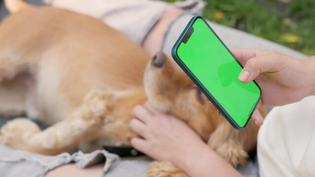 Young Woman Uses Phone With Green Mock-up Screen Siting On Lawn In City Park With English Cocker Spaniel Dog