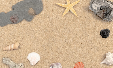 Fototapeta na wymiar Coquillages et étoile de mer sur du sable de plage. 