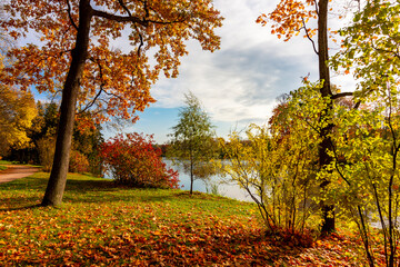 Autumn foliage in Catherine park, Pushkin, Saint Petersburg, Russia