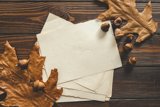 Postcard With Place For Text, Autumn Mood