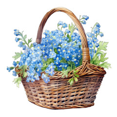 Fototapeta na wymiar Forget me nots in a wicker basket of flowers, isolated on transparent background
