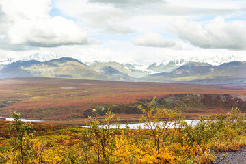 Autumn in polar tundra