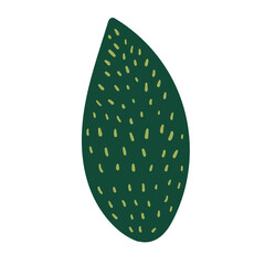 Leaf Illustration